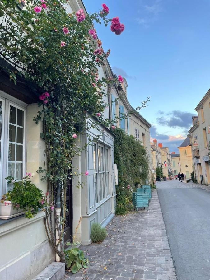 Gite Le Montinho Fontevraud-l'Abbaye Esterno foto