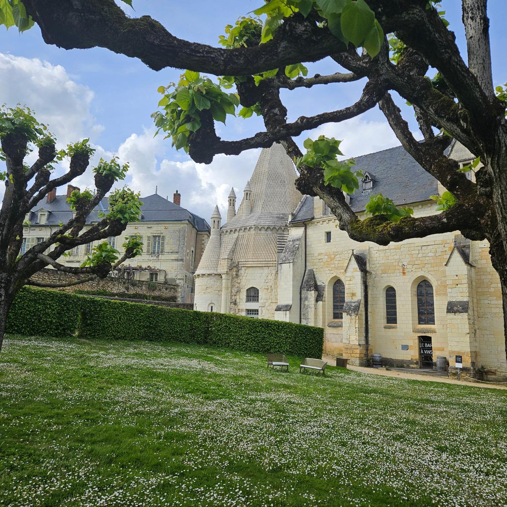 Gite Le Montinho Fontevraud-l'Abbaye Esterno foto